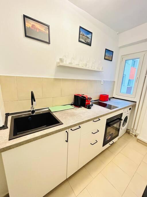 Cosy Apartment #12Lunipebega Timişoara Extérieur photo