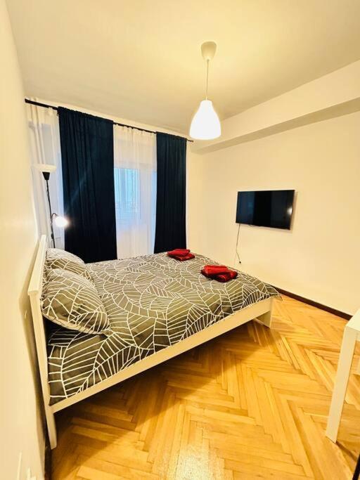 Cosy Apartment #12Lunipebega Timişoara Extérieur photo